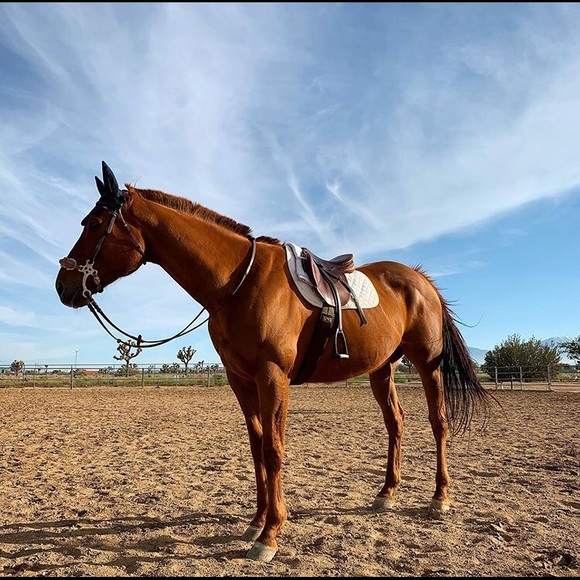 Meet your Posher, Kelly - Picture 4 of 16